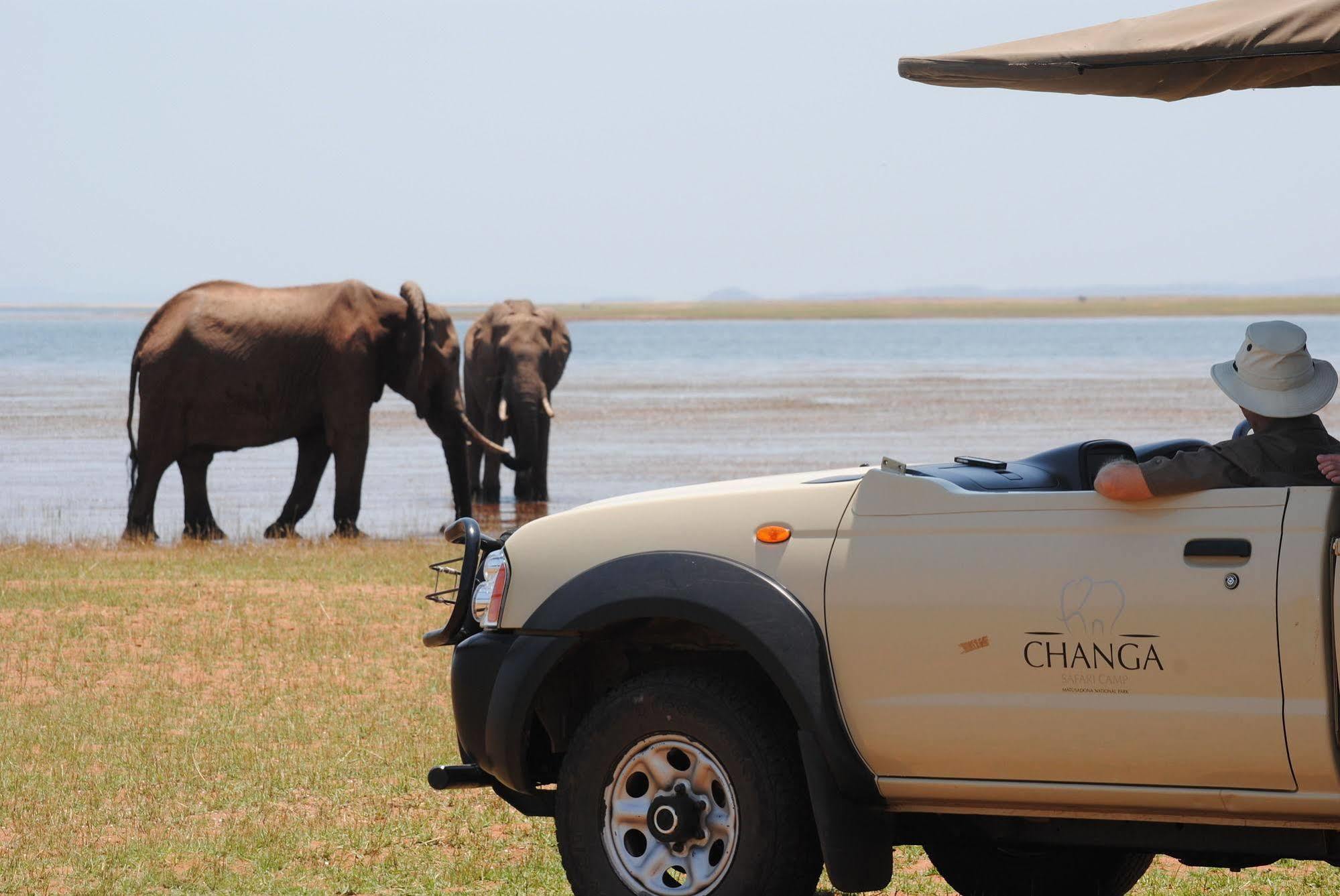 Changa Safari Camp Matusadona National Park Extérieur photo