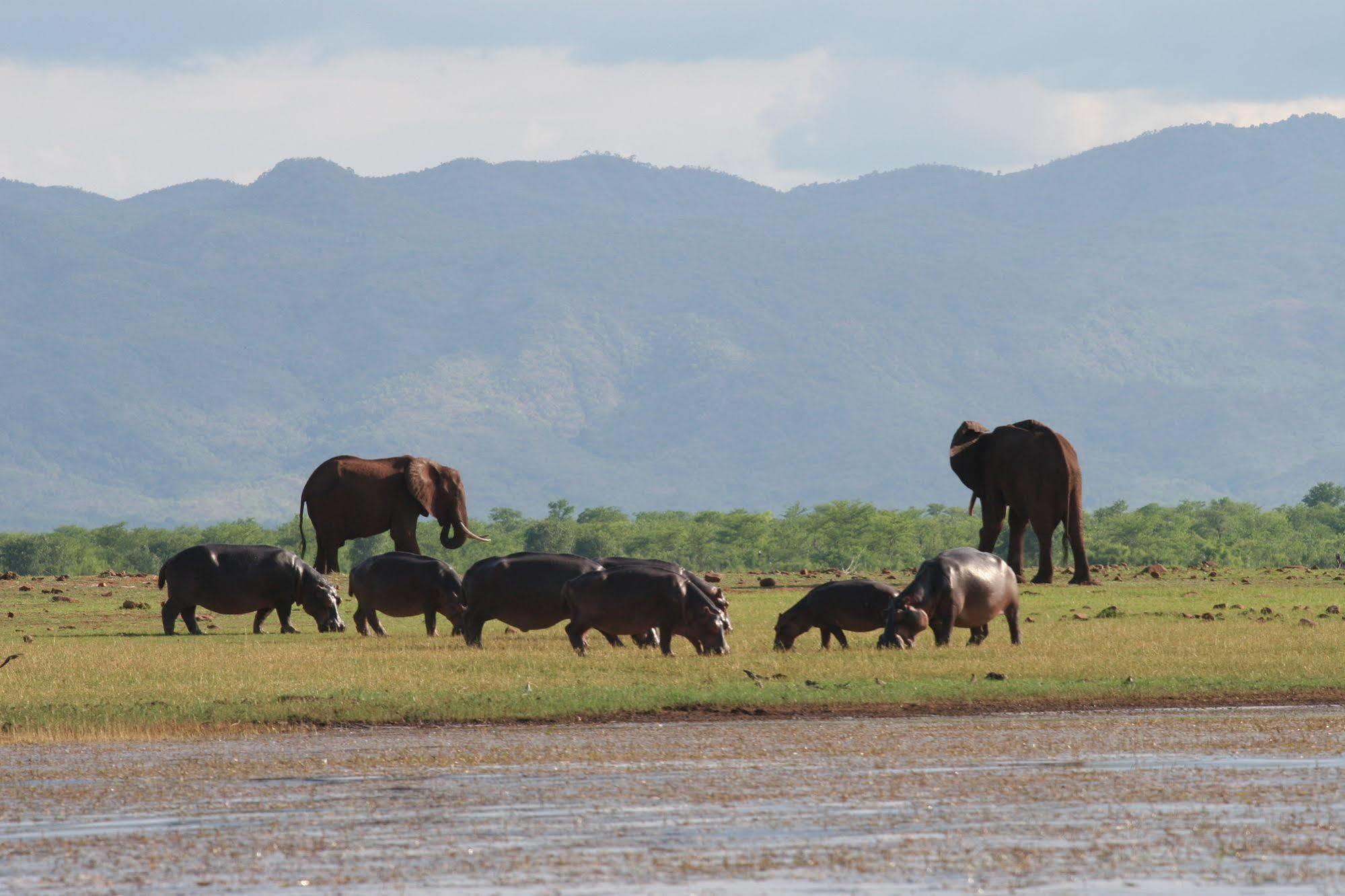 Changa Safari Camp Matusadona National Park Extérieur photo
