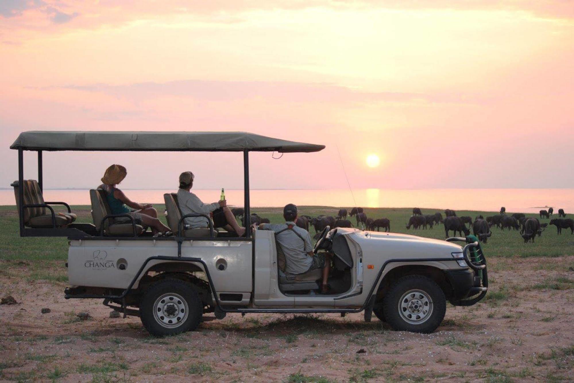 Changa Safari Camp Matusadona National Park Extérieur photo